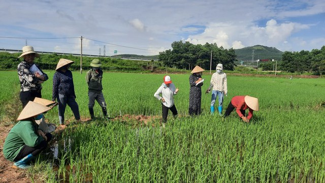 Đào tạo những chuyên gia quản lý 'sức khỏe' cây trồng