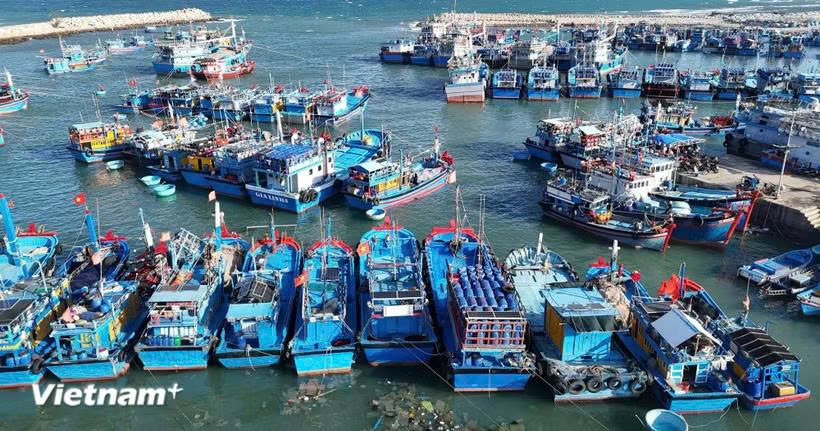 Công bố thủ tục mới về xác nhận nguồn gốc thủy sản khai thác ở ba cấp