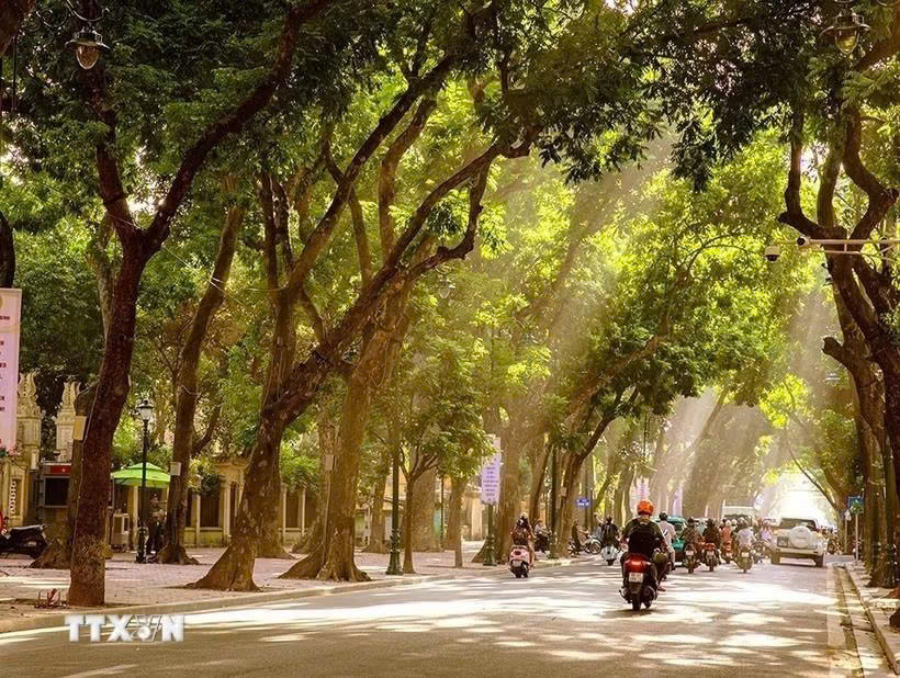 Thời tiết ngày 14/10: Hà Nội ngày nắng, TP Hồ Chí Minh chiều tối có mưa dông