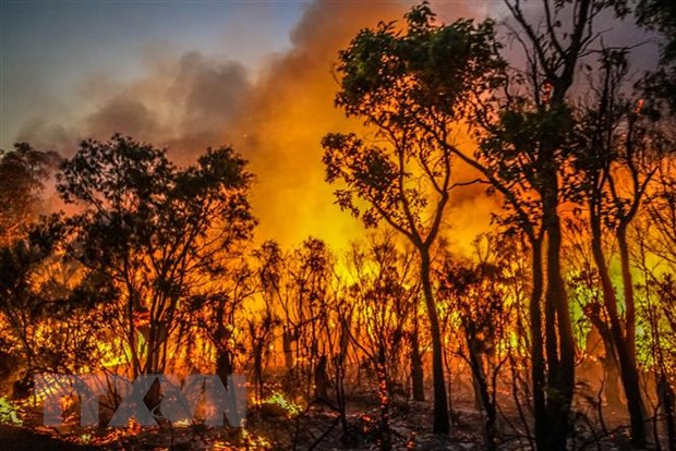 Thủ tướng Chính phủ yêu cầu tăng cường các biện pháp cấp bách phòng cháy, chữa cháy rừng