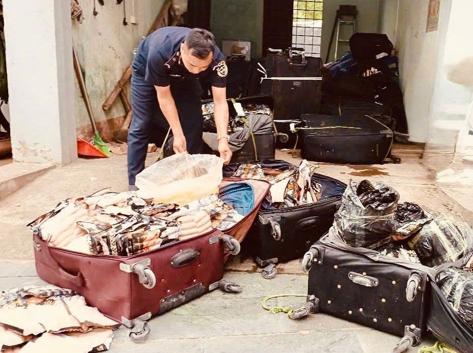 Hơn 1,8 tấn thực phẩm đông lạnh nhập lậu bị Hải quan bắt giữ