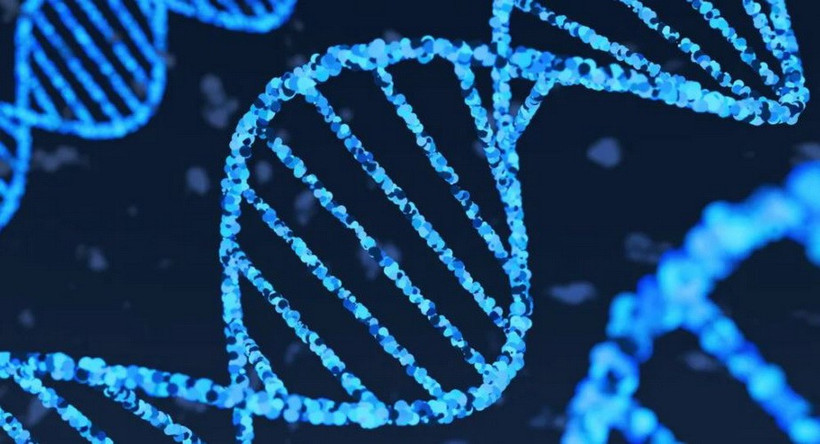 Google ra mắt công cụ AI giúp giải mã những bí ẩn của bộ gene người