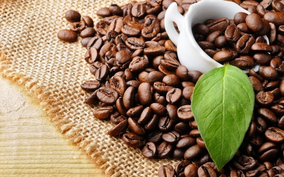 Giá cà phê Arabica tiếp tục leo đỉnh, giá ngô tăng sau báo cáo WASDE