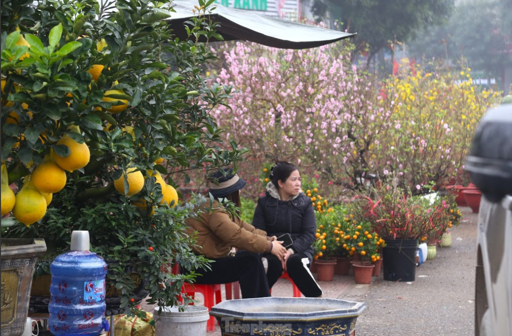 Miền Bắc có thể mưa phùn cả Tết Nguyên đán 2026