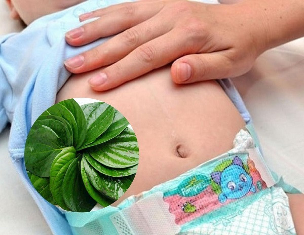 Cẩn trọng khi hơ lá trầu không cho trẻ sơ sinh