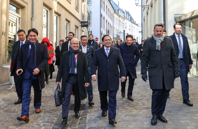 Thúc đẩy hợp tác trong lĩnh vực thế mạnh đặc biệt của Luxembourg