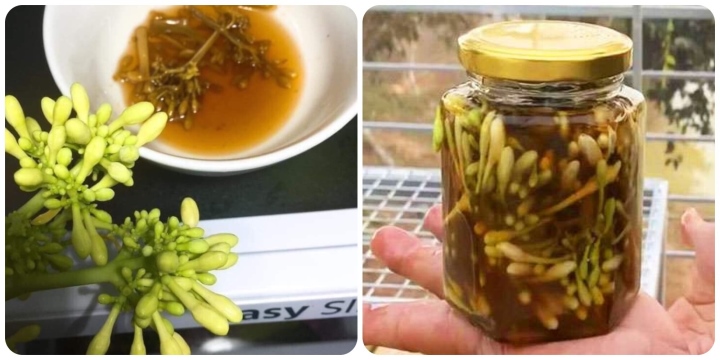 Uống hoa đu đủ đực ngâm mật ong vào lúc nào?