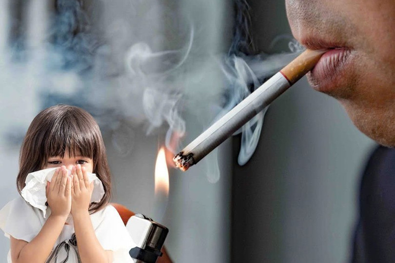 Luật hóa lệnh cấm thuốc lá điện tử, thuốc lá nung nóng