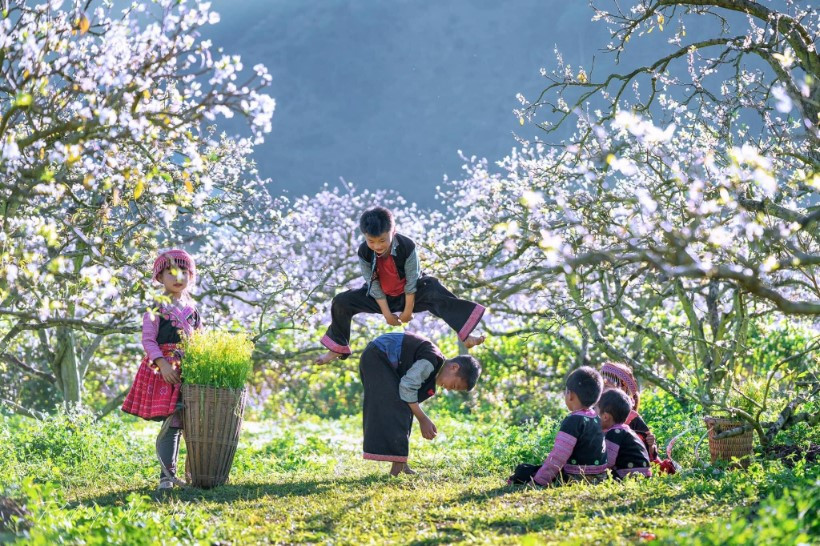 Thủ tướng đôn đốc thực hiện nhiệm vụ phục vụ Nhân dân đón Tết Nguyên đán Bính Ngọ 2026