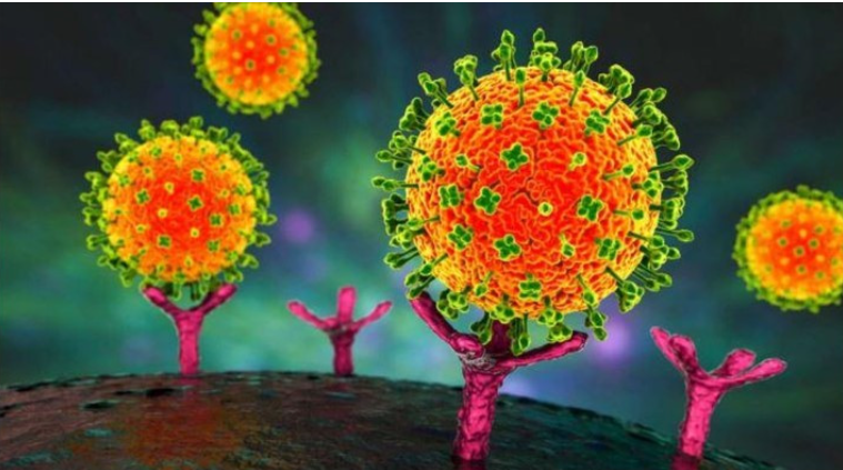 Bộ Y tế: Việt Nam chưa ghi nhận trường hợp mắc bệnh do virus Nipah