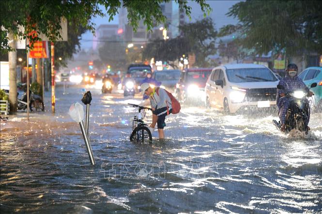 Từ ngày 2 - 6/4, khả năng xuất hiện đợt triều cường ở ven biển Đông Nam Bộ