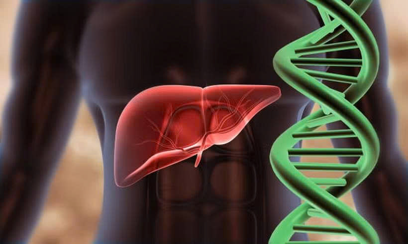 Lần đầu lập bản đồ gene gan người, hé lộ cơ chế bệnh gan nhiễm mỡ